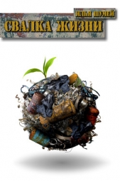 Свалка Жизни (СИ) - автор Шумей Илья 