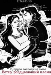 Супруга господина мага. Ветер, раздувающий пламя (СИ) - автор Ткаченко Евгения 
