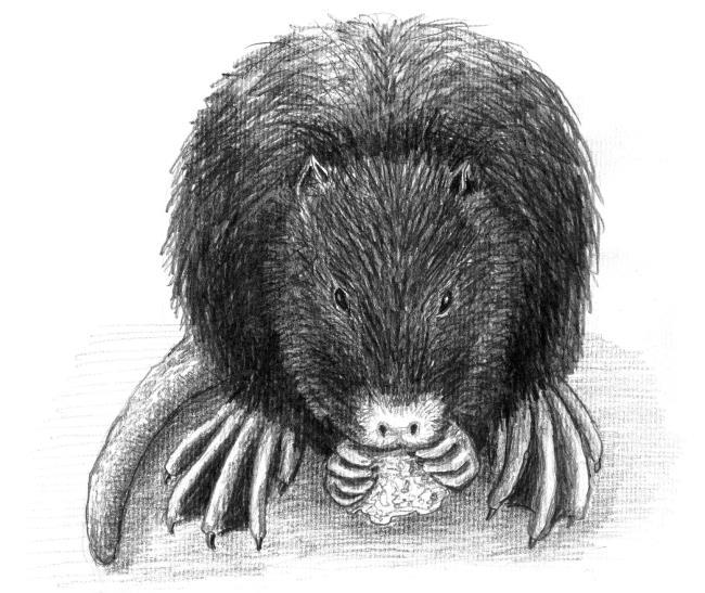 Звери, птицы, характеры - i_002.jpg