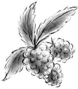 Урок дружбы - i_019.jpg