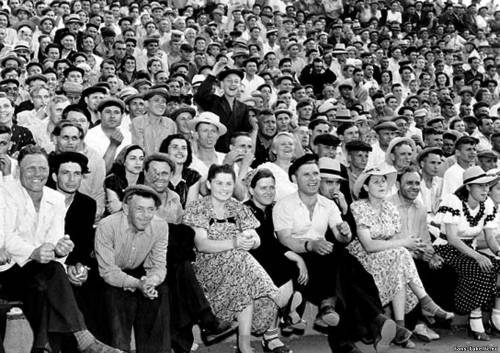 Роза (СИ) - img49.jpg