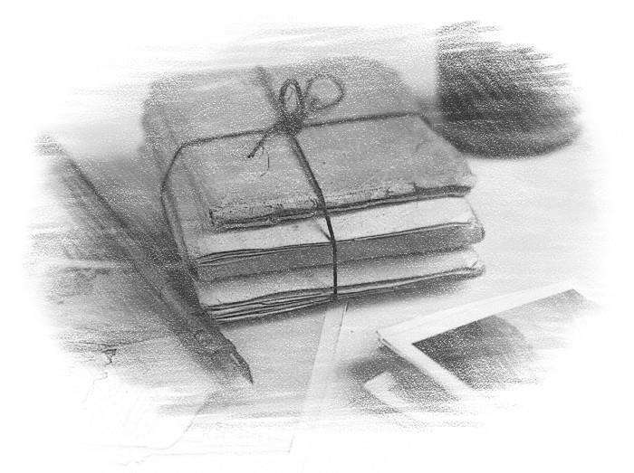 Гимназистка. Под тенью белой лисы (СИ) - _0fde77181b744a26ae8cd44650db28bf.jpg