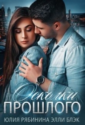  Блэк Элли - Осколки прошлого (СИ)