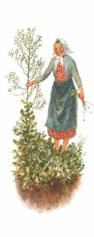 Печной волк - i_011.jpg