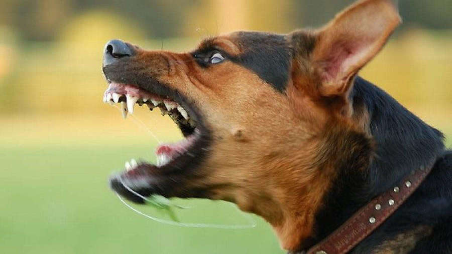 Мяч круглый. Испанский дебют (СИ) - _20a5db93ddbf48d981d39cc2e9f7ee17.jpg