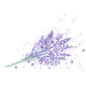 Кайленд (ЛП) - img_10