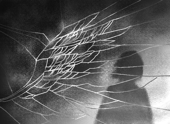 Зеркала (СИ) - img_3