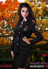 Гарем стервозных мажорок 2 (СИ) - автор Аристов Руслан Иванович 