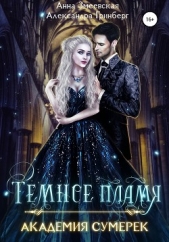 Академия сумерек. Темное пламя - автор Гринберг Александра 