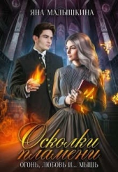 Осколки пламени. Огонь, любовь и... мышь (СИ) - автор Малышкина Яна 