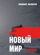 Новый мир. Книга 1: Начало. Часть первая (СИ) - автор Забудский Владимир 