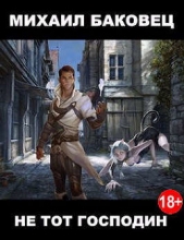 Не тот господин (СИ) - автор Баковец Михаил 