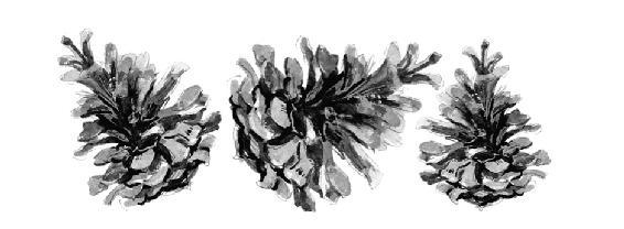 Клятвы и слёзы (ЛП) - img_1