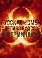 Детерминация (СИ) - автор Янг Павел 