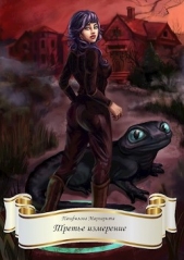  Панфилова Маргарита - Третье измерение (СИ)