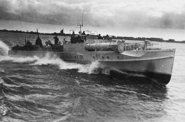 Дон Педро (СИ) - _rqpuoFoLdor4SPTughP7gg.jpg