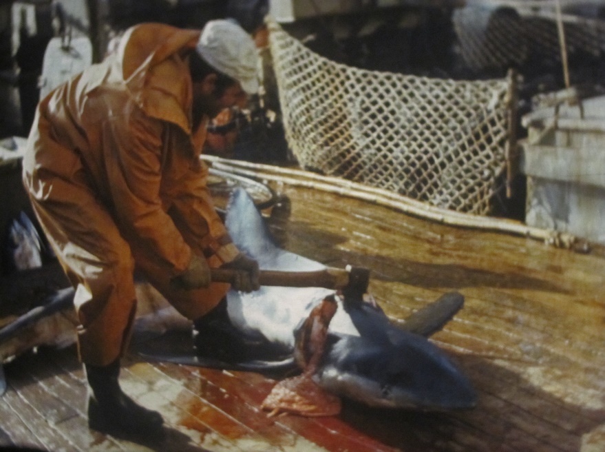 Опасные обитатели морских глубин (СИ) - img_18