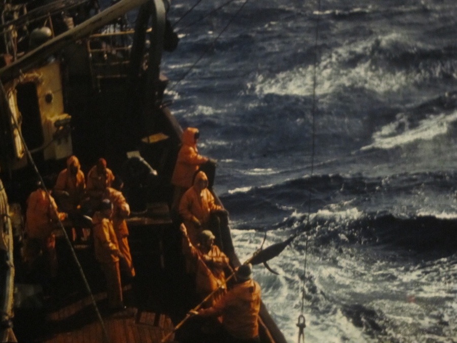 Опасные обитатели морских глубин (СИ) - img_13