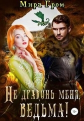 Не драконь меня, ведьма! (СИ) - автор Гром Мира 