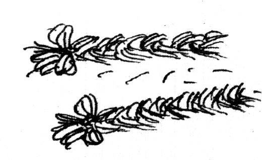 Всё о Манюне (сборник) - i_019.jpg