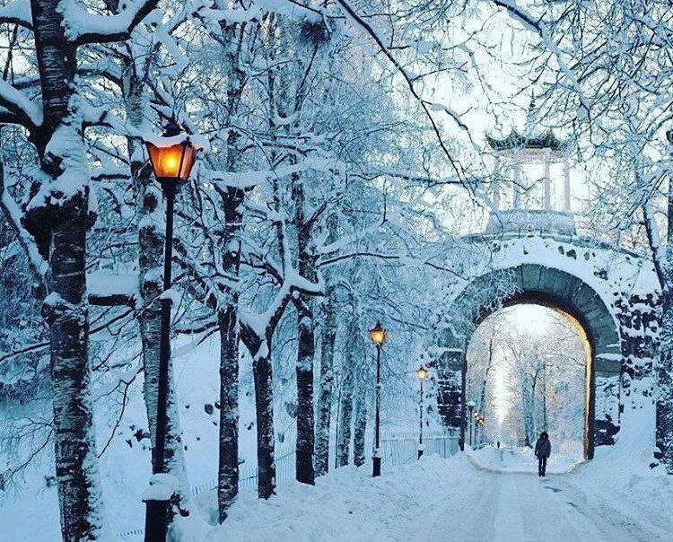 Распутин-1917 (СИ) - _00bd56db9abf5590cec81f30a6b9b2f4