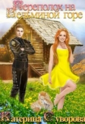  Суворова Катерина - Переполох на Ведьминой горе (СИ)