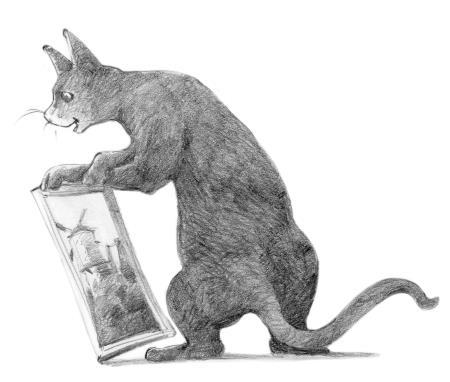 Кот Тихон, или Похищение Голландца - i_001.jpg