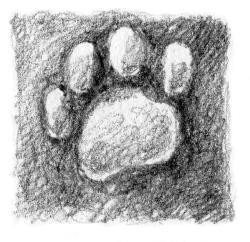 Кот Тихон, или Похищение Голландца - i_005.jpg