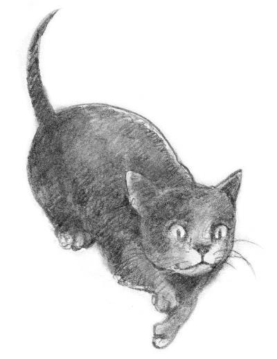 Кот Тихон, или Похищение Голландца - i_010.jpg