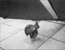 Авиация и время 2006 04 - pic_26.jpg