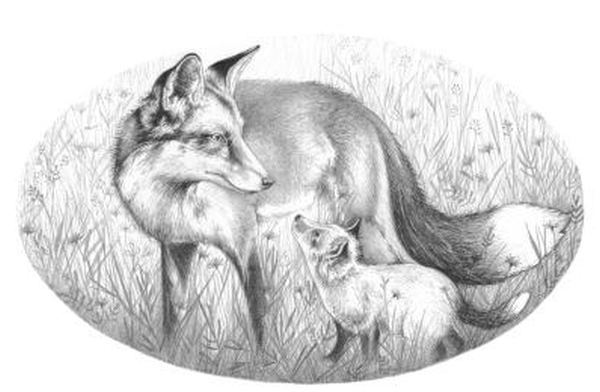 Карман ворон - i_002.jpg