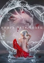 Книга пяти колец. Том 2 (СИ) - автор Зайцев Константин 