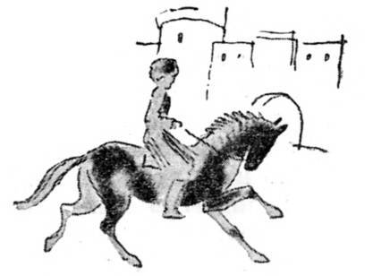 Азербайджанские тюркские сказки - _226.jpg