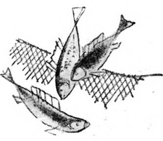 Азербайджанские тюркские сказки - _10.jpg