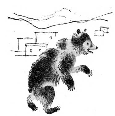 Азербайджанские тюркские сказки - _111.jpg