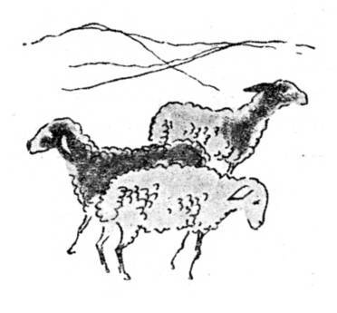 Азербайджанские тюркские сказки - _184.jpg