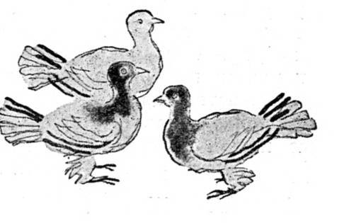 Азербайджанские тюркские сказки - _85.jpg