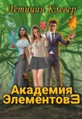 Академия Элементов 3 (СИ) - автор Клевер Летиция 