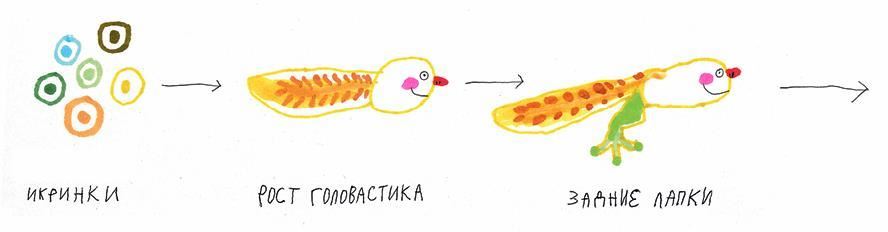 Трудно быть добрым. Истории вещей, людей и зверей - i_009.jpg