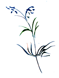 Байкала-озера сказки Том II  разд.1 - i_030.png