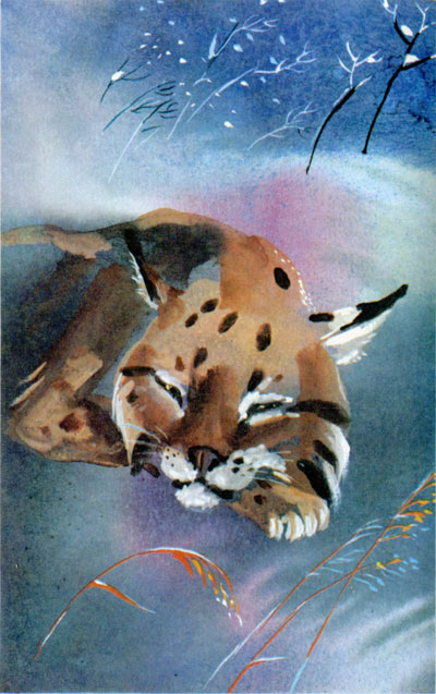 Байкала-озера сказки Том II разд.1 - i_035.jpg