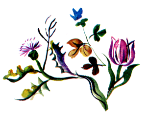 Байкала-озера сказки Том II разд.1 - i_040.png