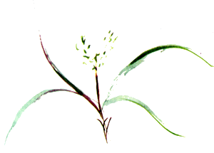 Байкала-озера сказки Том II  разд.1 - i_047.png