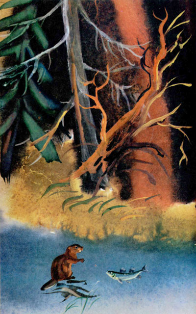 Байкала-озера сказки Том II  разд.1 - i_064.jpg