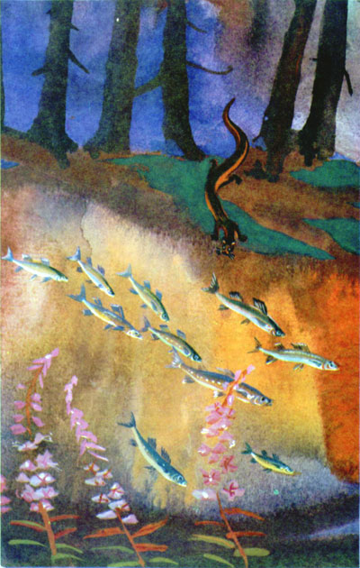 Байкала-озера сказки Том II  разд.1 - i_066.jpg