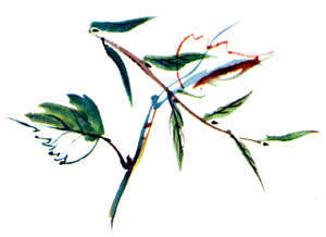 Байкала-озера сказки Том II разд.1 - i_069.png