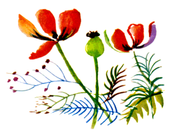 Байкала-озера сказки Том II разд.1 - i_075.png