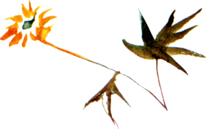 Байкала-озера сказки  Том II  разд.2 - i_018.png