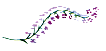 Байкала-озера сказки Том II разд.2 - i_044.png