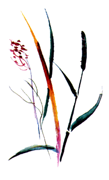 Байкала-озера сказки Том II разд.2 - i_058.png